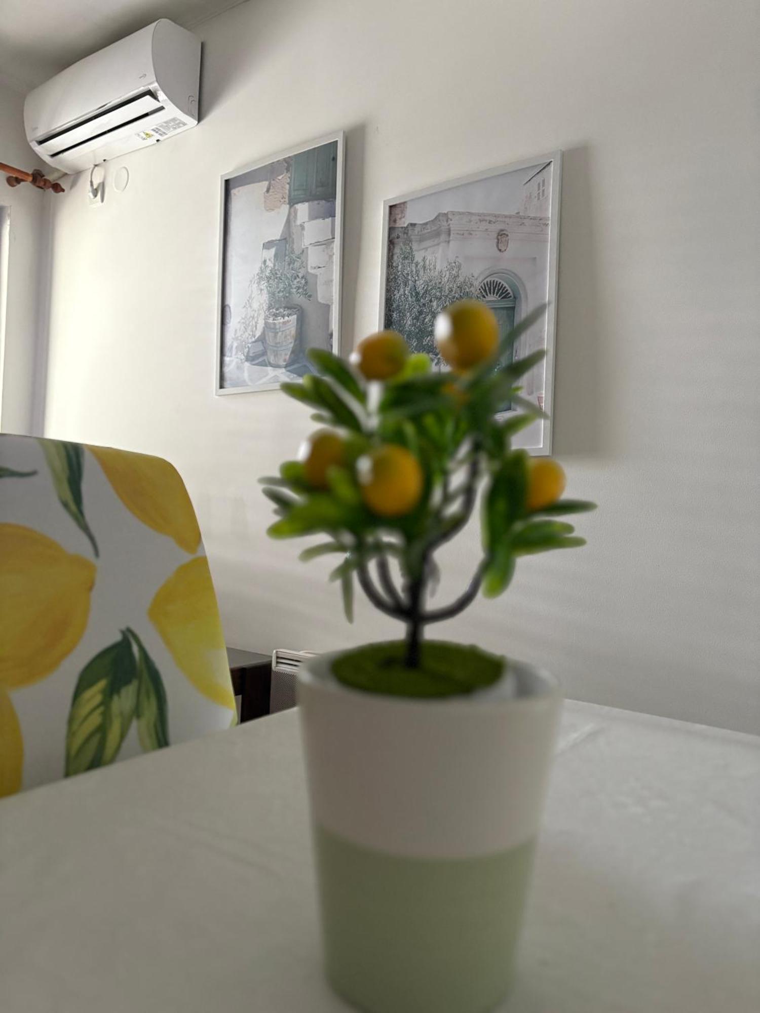 Apartments Herceg Novi Cameră foto
