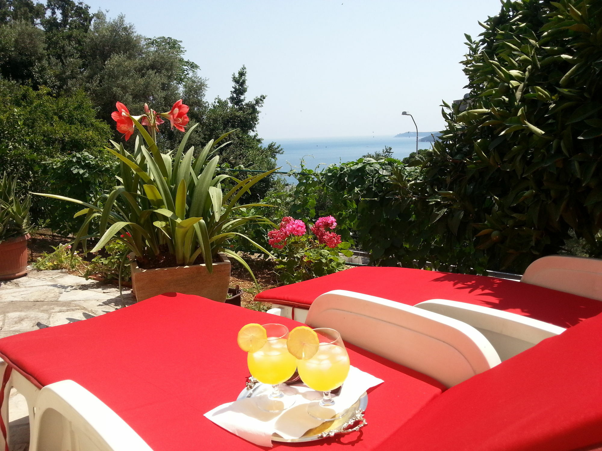 Apartments Herceg Novi Exterior foto